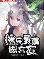 新三国在线观看免费版