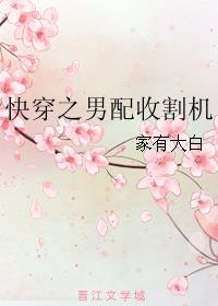 父子截的一段视频叫什么