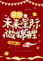 含糖BY荔枝11H