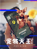 小蝌蚪app旧版本下载ios