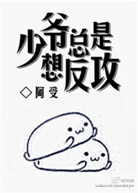 将军的小娘子