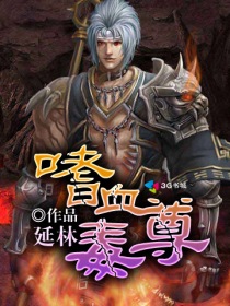 影子武士3