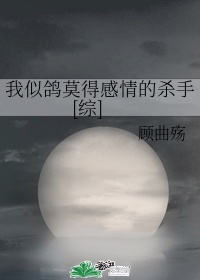 月夜直播免费观看