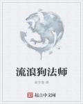 修复师打眼