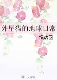 小芳乱全集目录