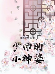 警花五部曲系列