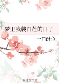 中文字幕亚洲综合小综合