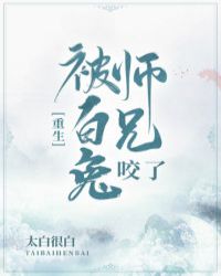 诛仙 青云加点