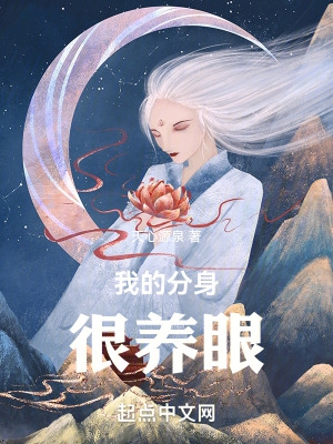 金装律师电视剧