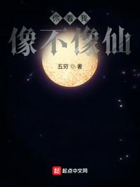 月夜影视在线观看免费完整