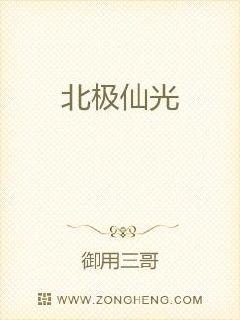 将军在上电视剧