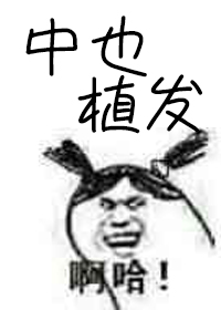 顶级电影网