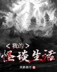 精英律师一共多少集