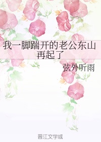 上门女婿韩东阅读全文