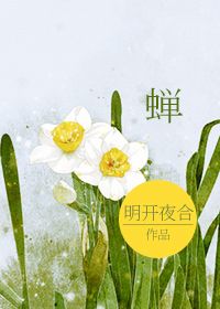 不卡的a 每日在线观看