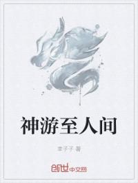 评书刘兰芳杨家将