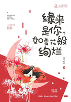 绝命毒师第5季