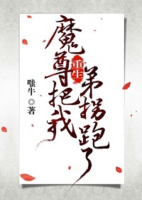 新编三宝局长无删减版