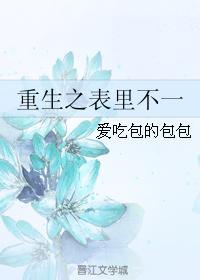 果宝特攻全集