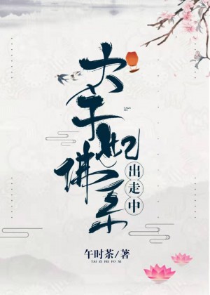 爱情公寓花花