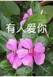 女人被狂躁视频网站免费