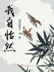 上海滩电视剧周润发