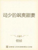 日本大但人文艺术MBA