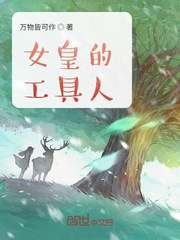 大唐无双2职业