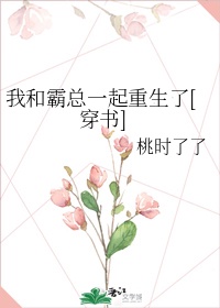 照见星星的她txt