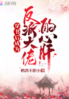 魔道祖师落霞小说