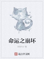 透师医圣林奇