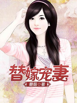 方婷小峰完整版