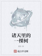 无心法师种子