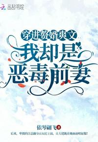 苏雪公憩28篇小说