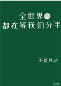 91情侣视频