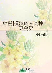 阿宾正传费阅读全文