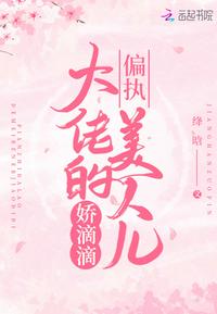 攀上漂亮女领导(小说)