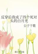 女主放荡无耻小说