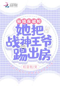 重生红军34师师长的小说