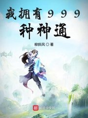 叶云神龙宗