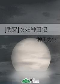 提灯照河山txt