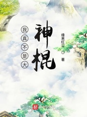 真假学园第二季