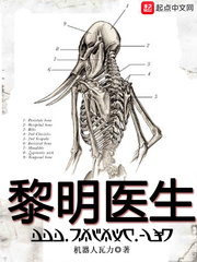 电影疯狂的石头