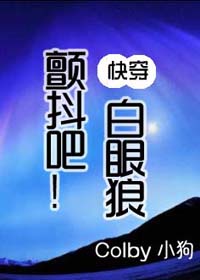 宅急看电影网手机版