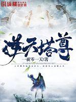 黑鹰坠落h版