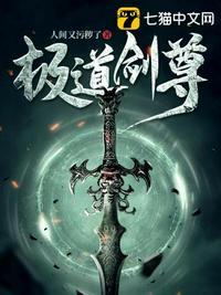 真三国无双5特别版