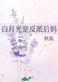 广东小老虎