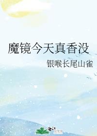 农民伯 伯也风流完整版