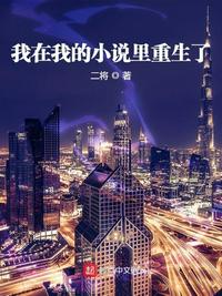 夜视摄像头