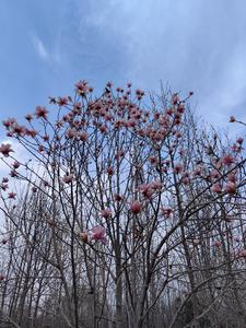 老师我好爽再深一点的视频